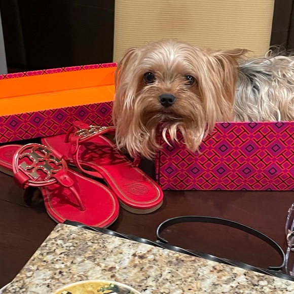 Meet your Posher, Amy - Picture 4 of 16